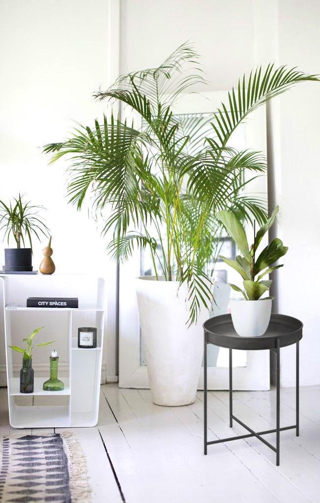  The Mia Sehpa Siyah 41 x 41 x 56 Cm