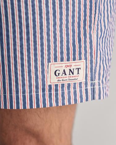  GANT Erkek Mavi Regular Fit Çizgili Mayo Şort