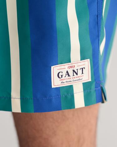  GANT Erkek Mavi Regular Fit Çizgili Mayo Şort