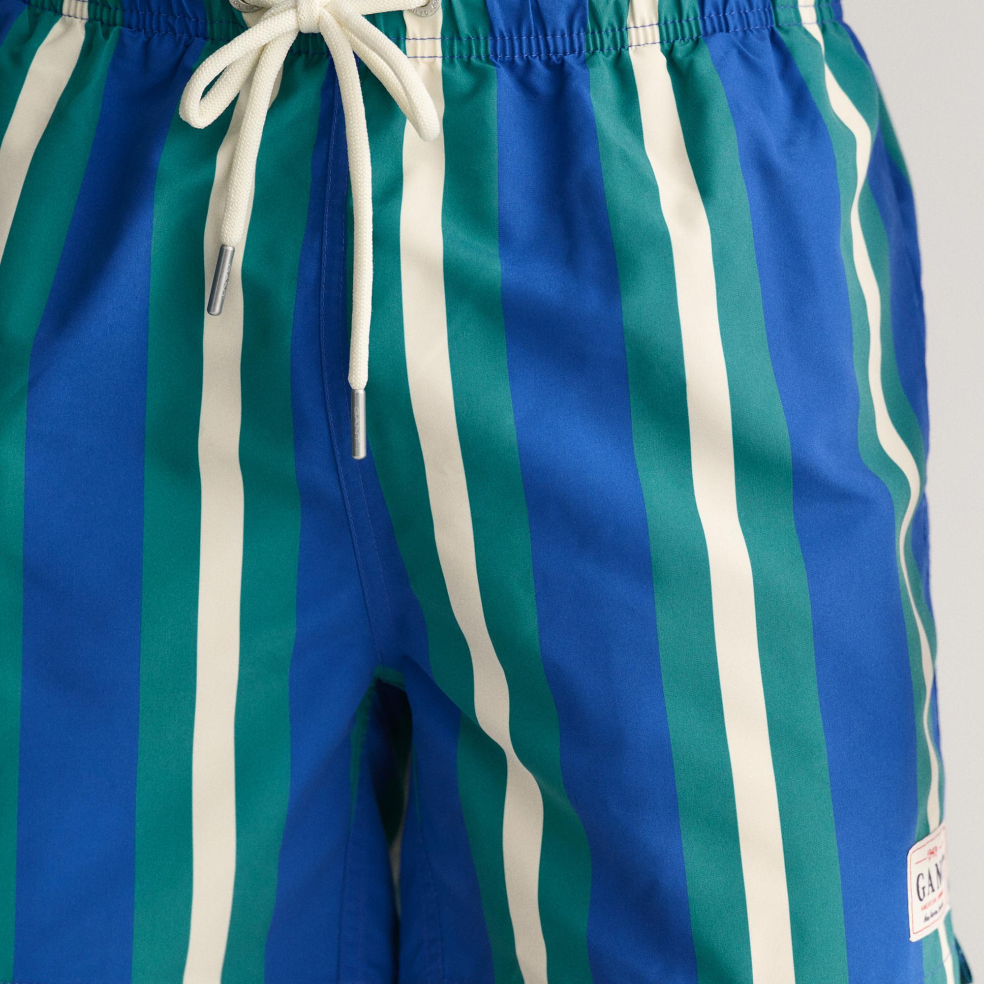 GANT Erkek Mavi Regular Fit Çizgili Mayo Şort