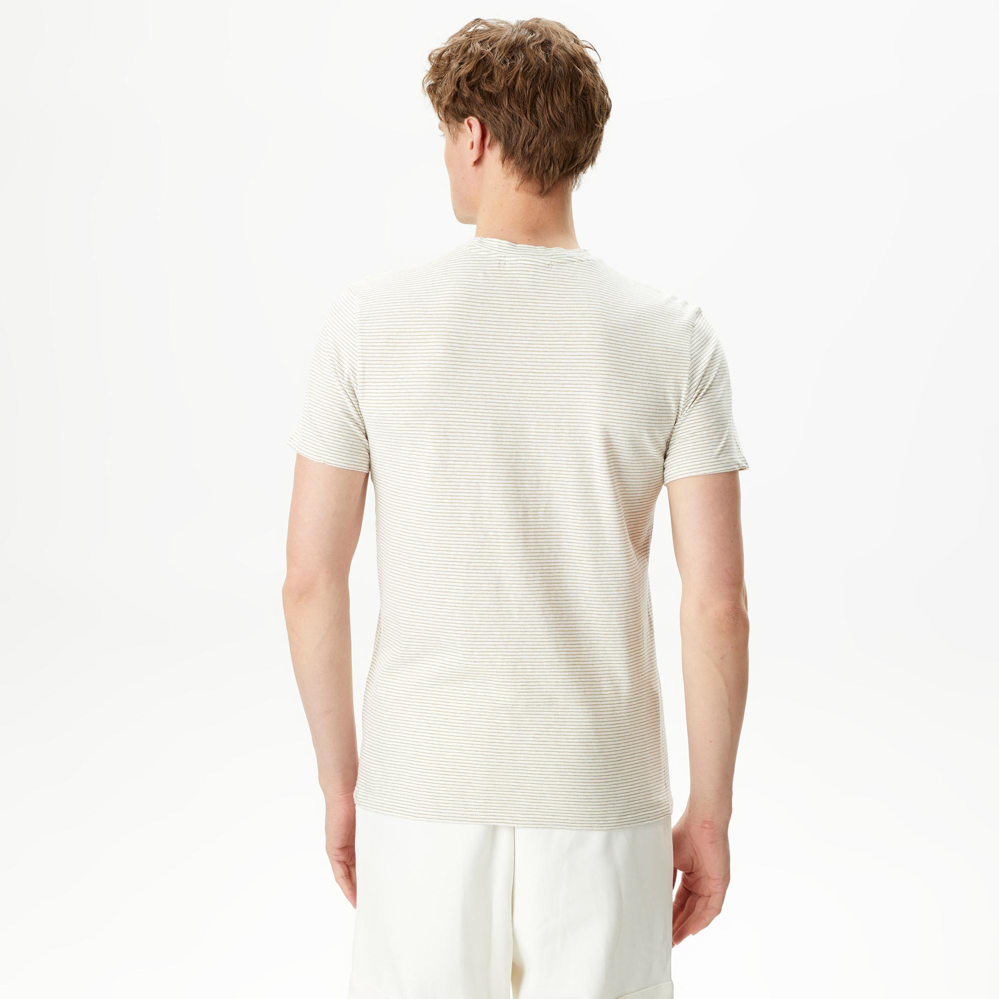 Erkek Regular Fit Bisiklet Yaka Çizgili Bej T-Shirt