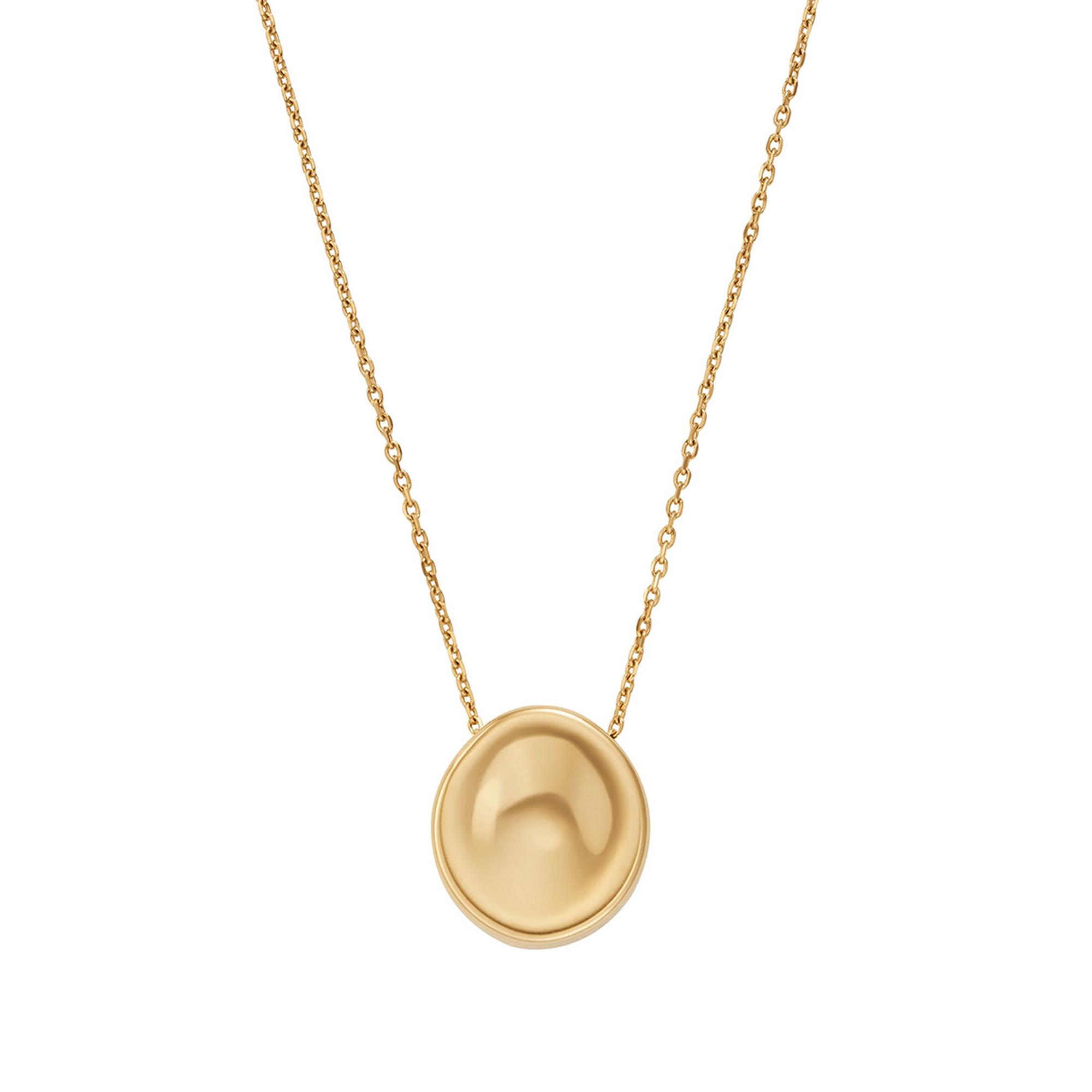 Skagen SKJ1750-710 Kadın Kolye