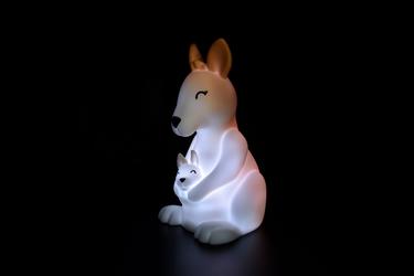  Dhink Anne Bebek Kangru 
Gece Lambası