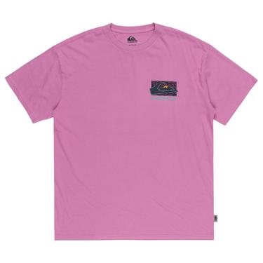  Quiksilver Spin Cycle Erkek Mor Tişört