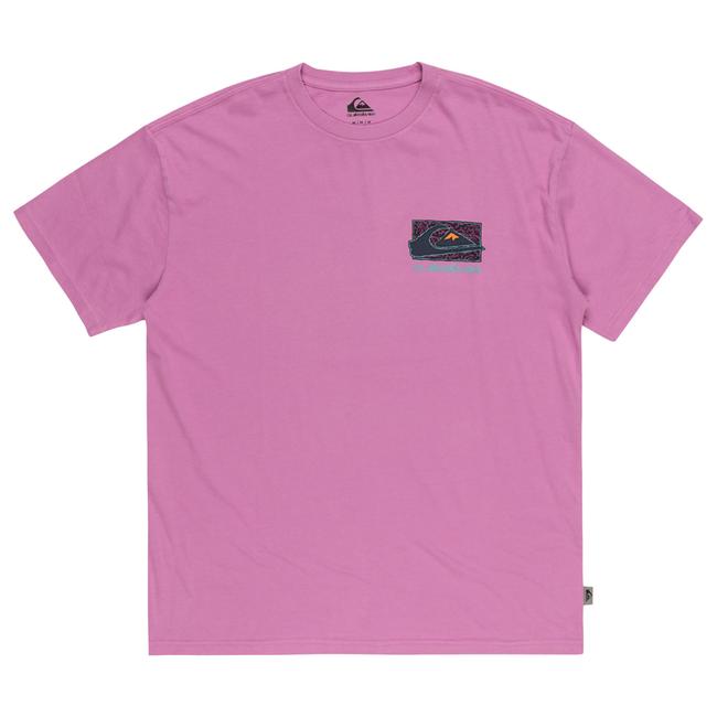  Quiksilver Spin Cycle Erkek Mor Tişört