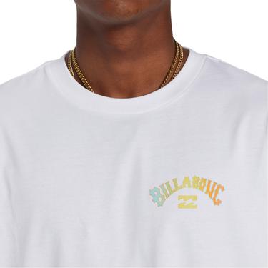  Billabong Arch Fill Tees Erkek Beyaz Tişört