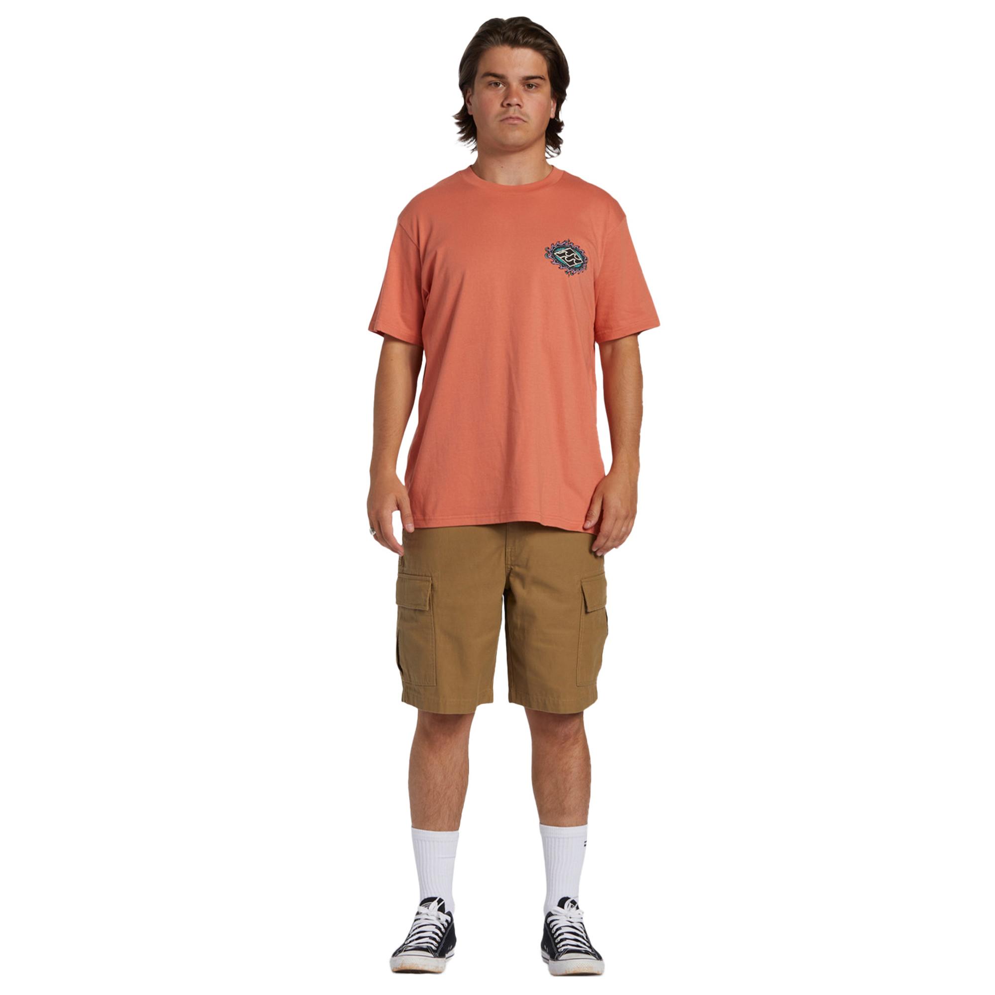 Billabong Crayon Wave Erkek Pembe Tişört