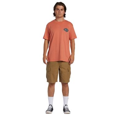  Billabong Crayon Wave Erkek Pembe Tişört