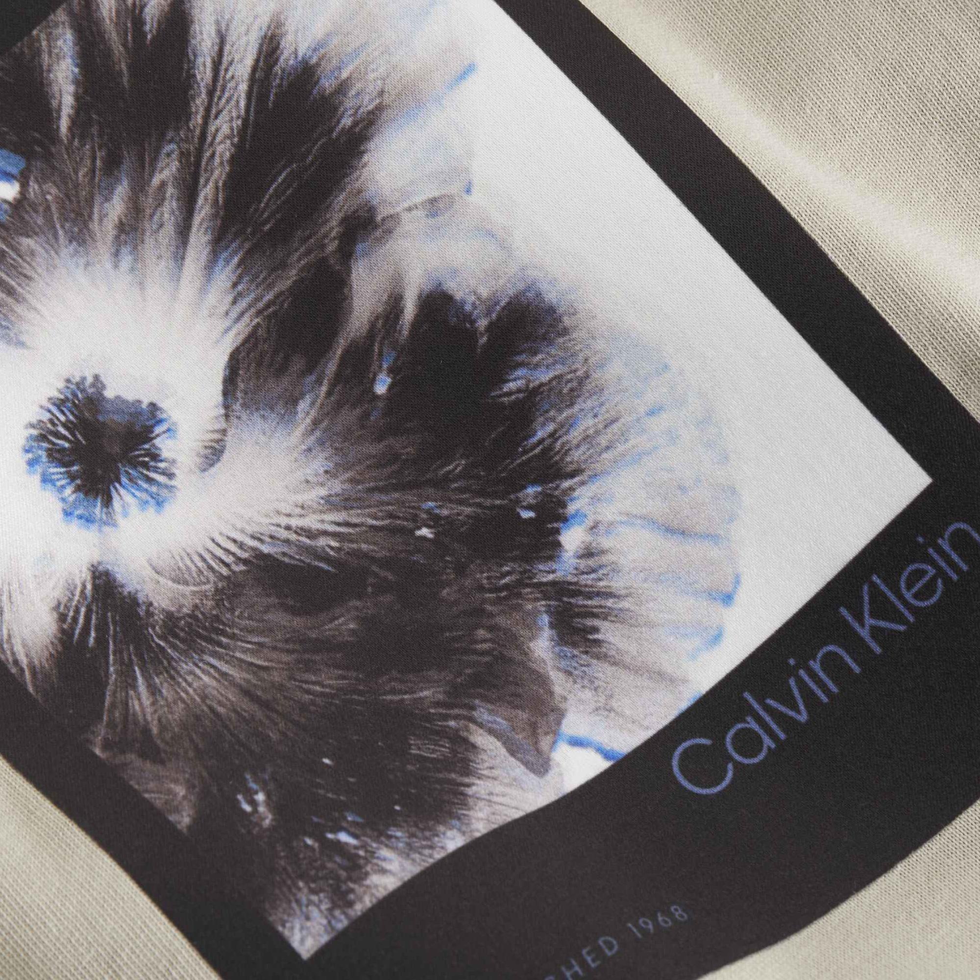 Calvin Klein Summer Evenings Erkek Gri T-Shirt