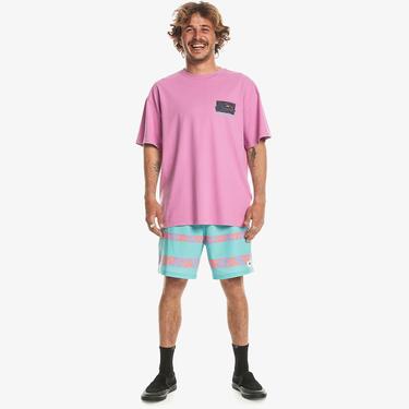  Quiksilver Spin Cycle Erkek Pembe Günlük T-Shirt