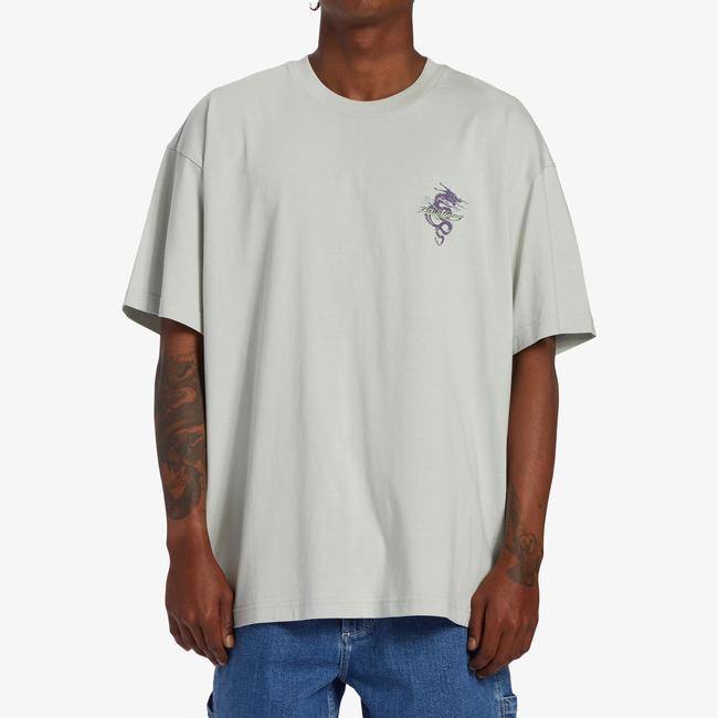  Billabong Enter The Drago Erkek Gri Günlük T-Shirt