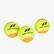 Pro Touch Unisex Sarı 3'lü Tenis Topu