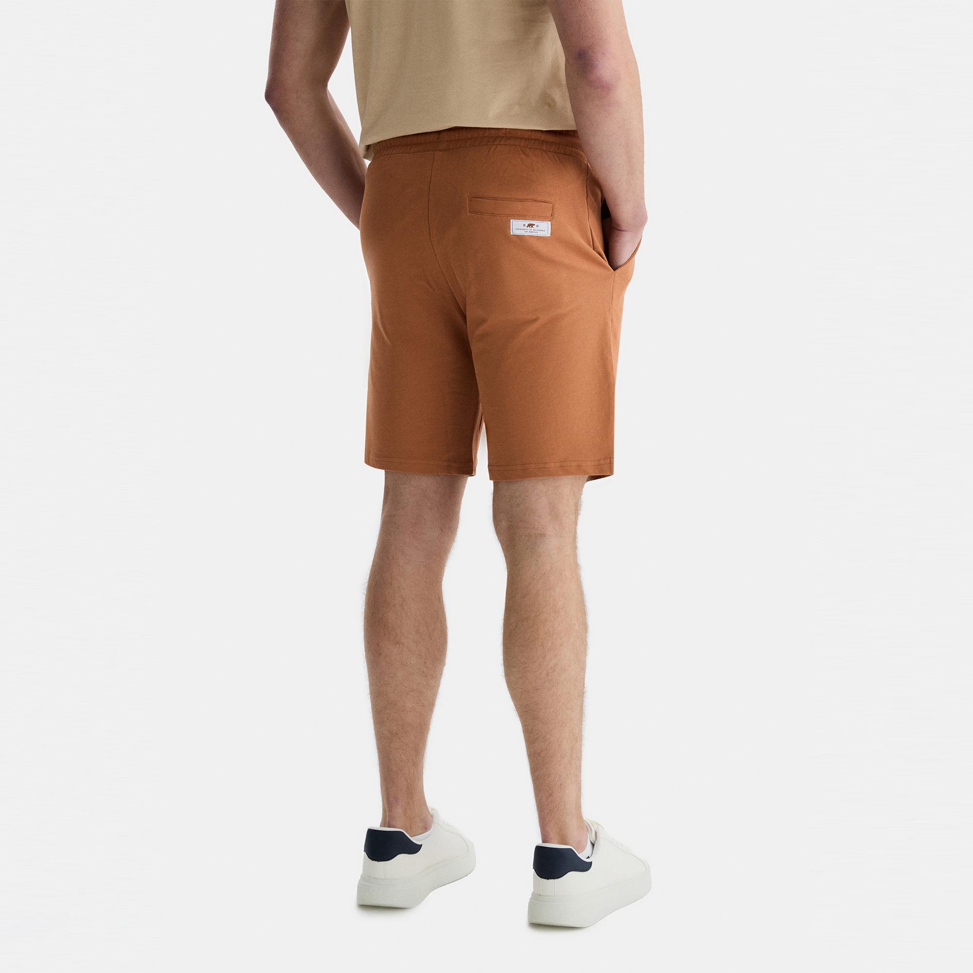 UCLA Fowler Erkek Kahverengi Şort