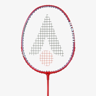  Tecnifibre Unisex Renkli Badminton Raketi
