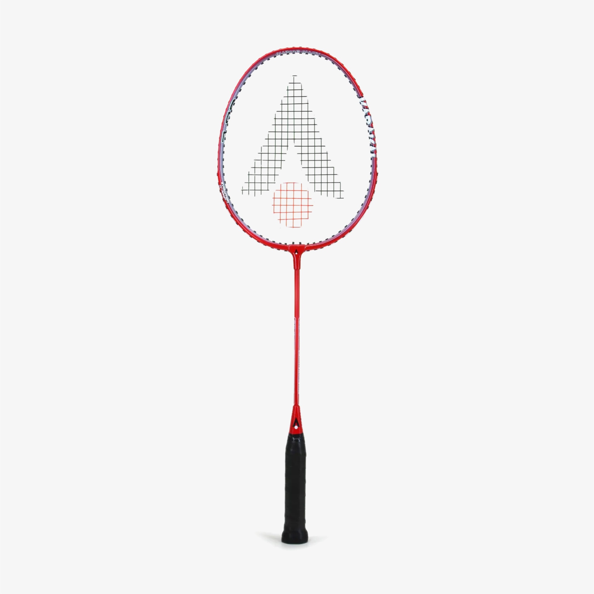 Tecnifibre Unisex Renkli Badminton Raketi