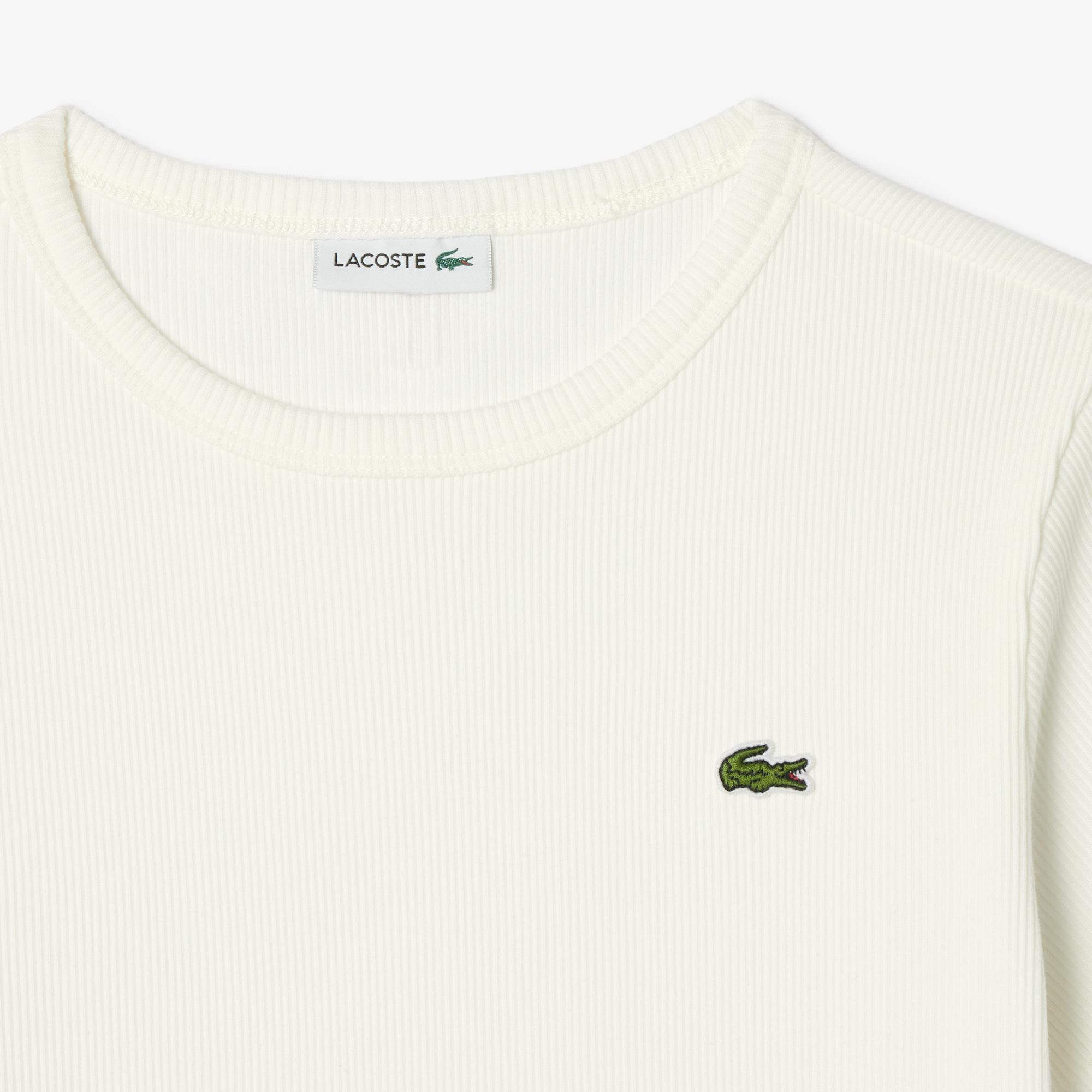 Lacoste Çocuk Bisiklet Yaka Beyaz T-Shirt