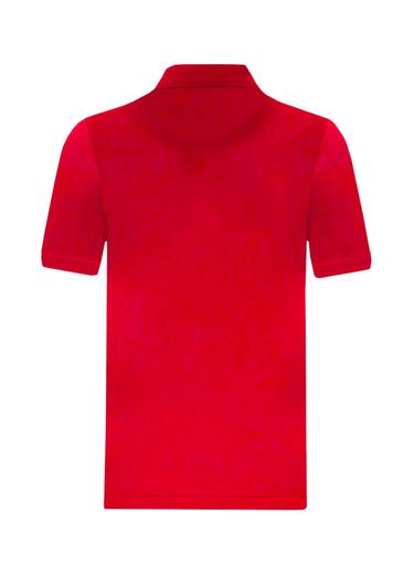  Erkek Polo Tişört 22806 1757 - Barbados cherry