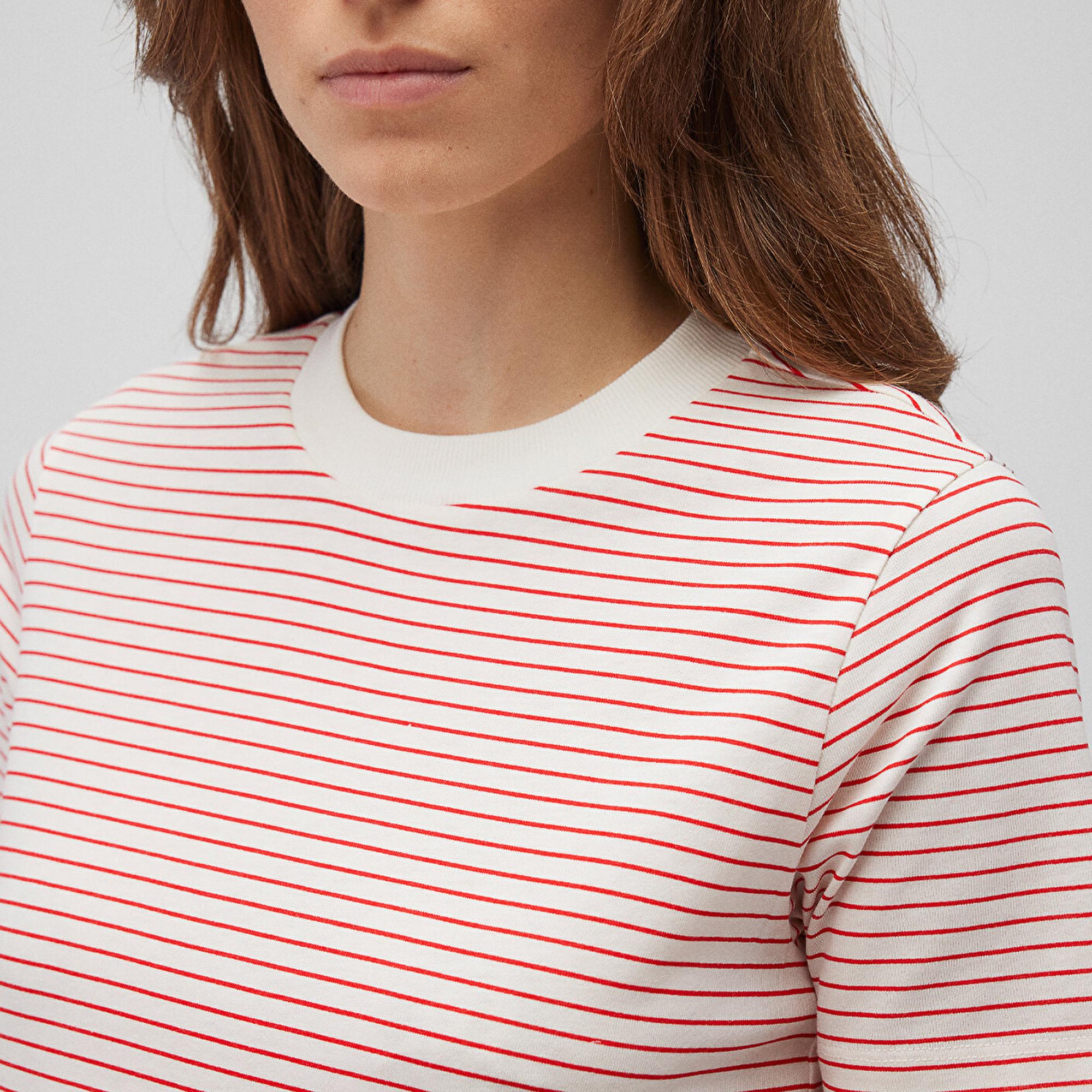 Mavi Kırmızı Çizgili Tişört Regular Fit / Normal Kesim 1612676-87966