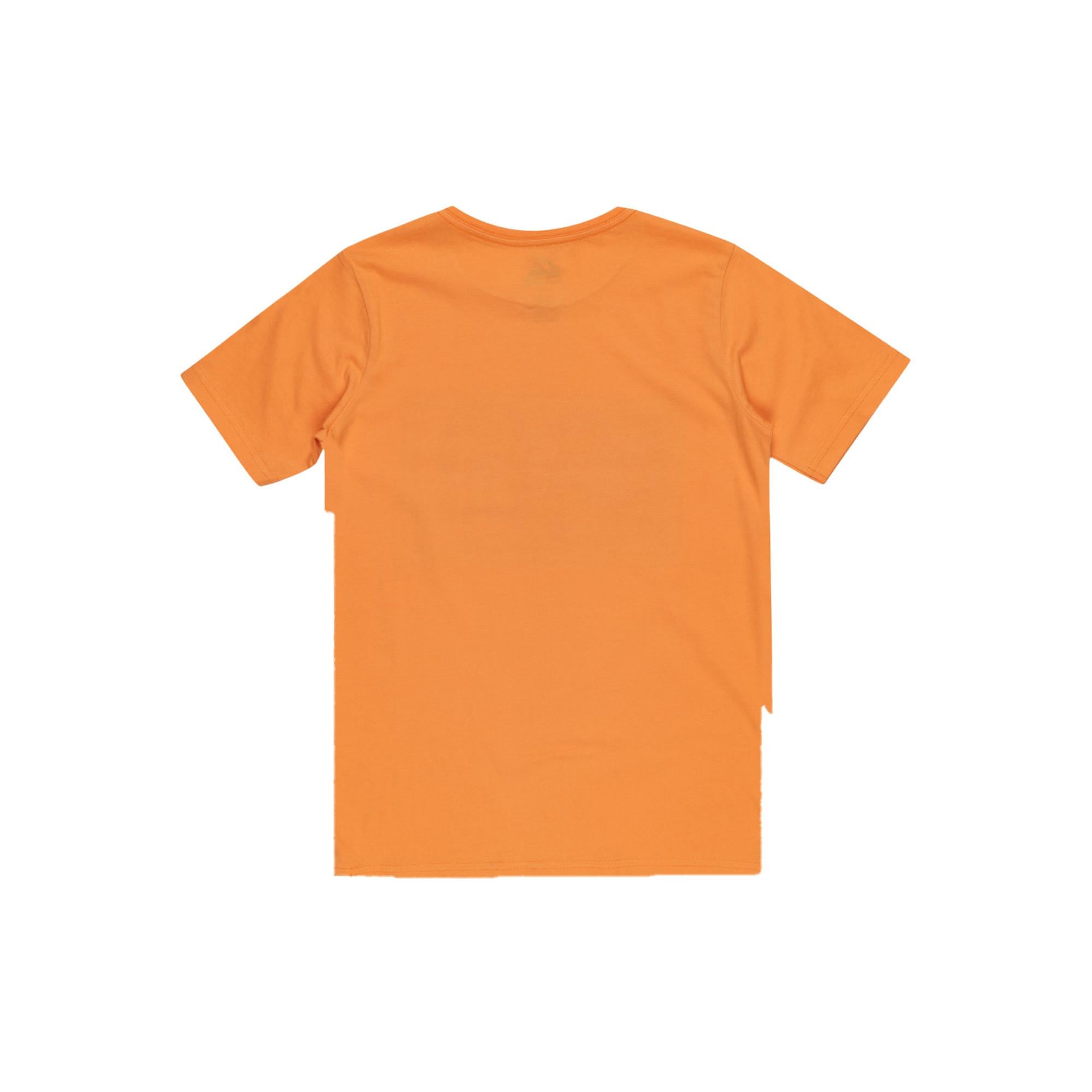 Quiksilver Day Tripper Youth Erkek Çocuk Turuncu Tişört
