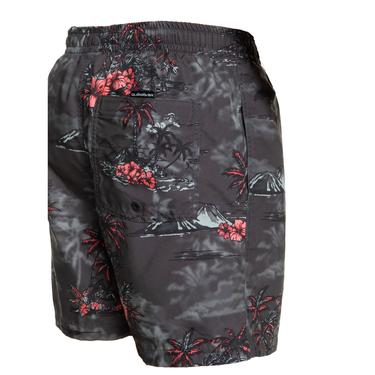  Quiksilver Longmanhill Volley Erkek Volley Short