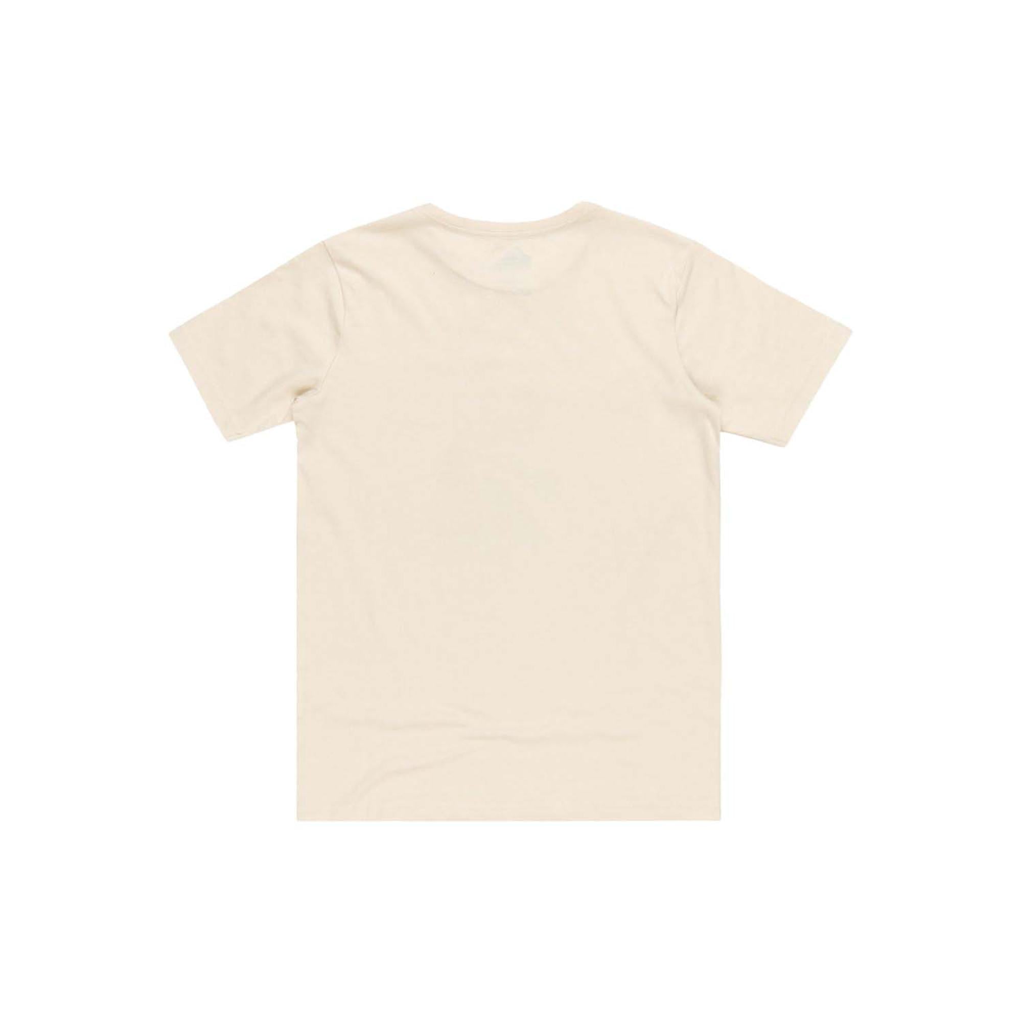 Quiksilver Neverending Surf Youth Erkek Çocuk Bej Tişört