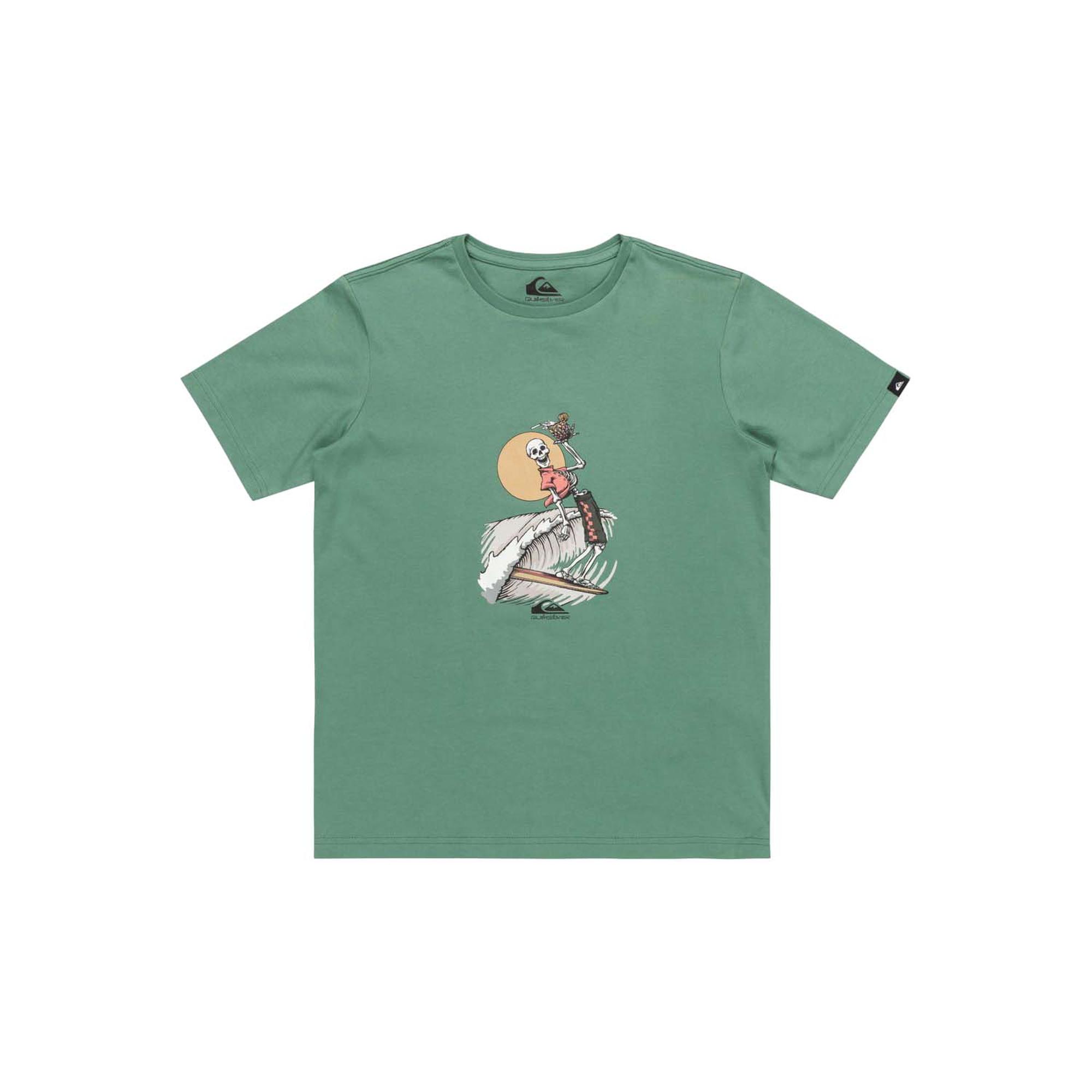 Quiksilver Neverending Surf Youth Erkek Çocuk Tişört