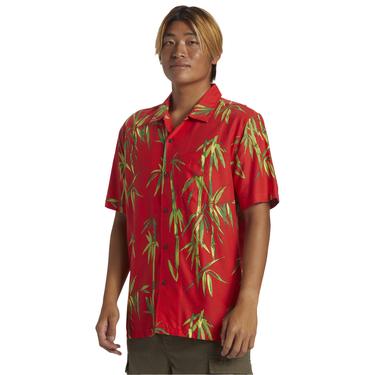  BAMBOO DNA ISLAND SS