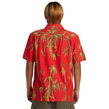  BAMBOO DNA ISLAND SS