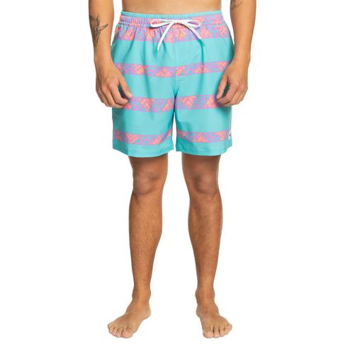  Quiksilver Take Us Back Vl 17 Erkek Volley Short