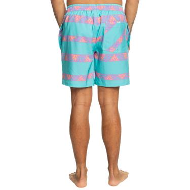  Quiksilver Take Us Back Vl 17 Erkek Volley Short