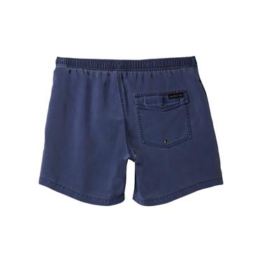  Quiksilver Everyday Surfwash 15 Erkek Mavi Volley Short