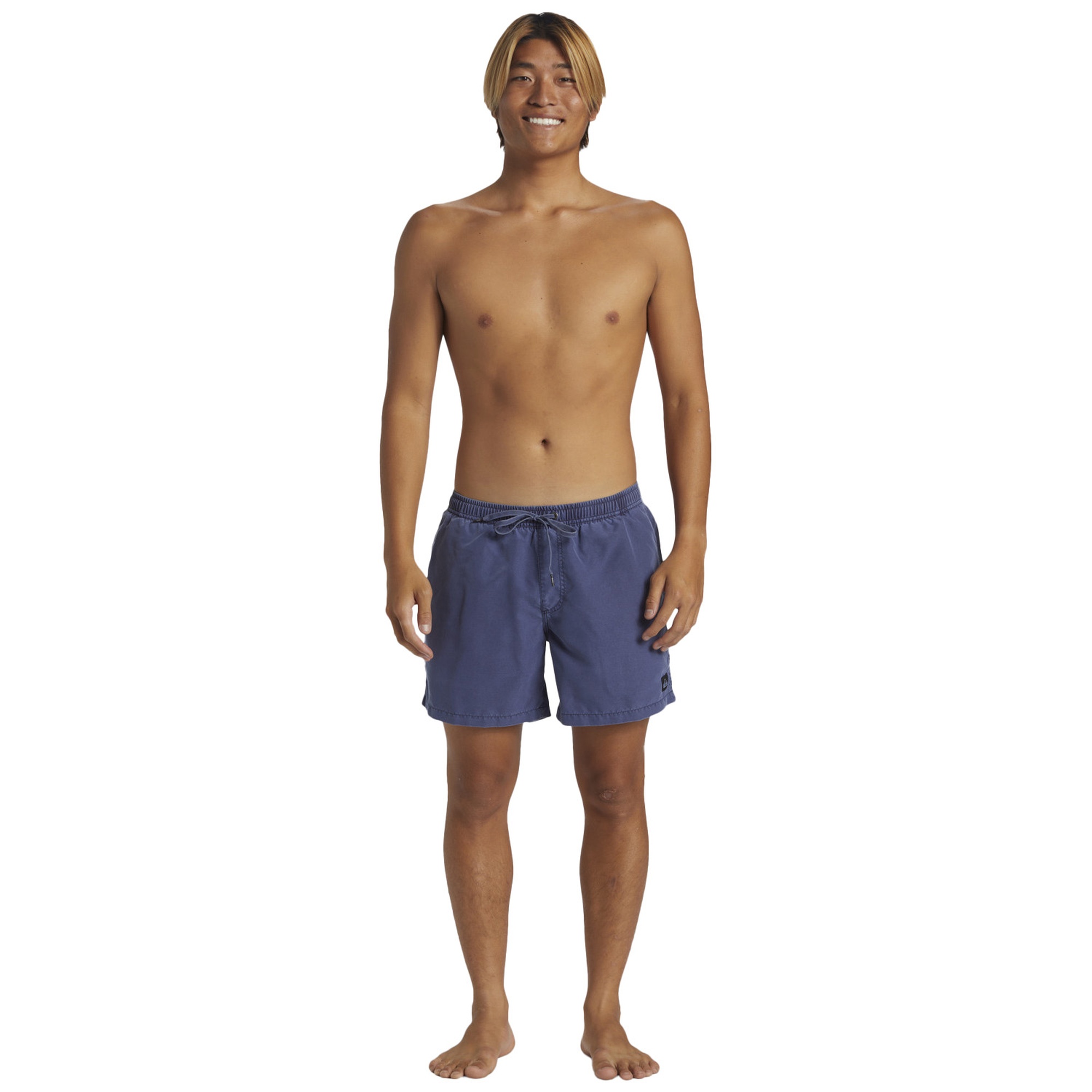 Quiksilver Everyday Surfwash 15 Erkek Mavi Volley Short
