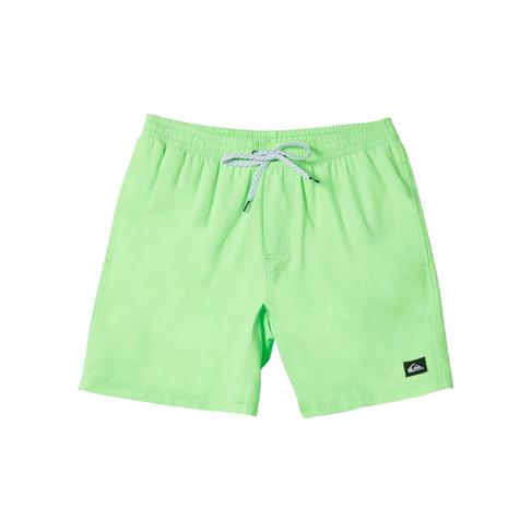  Quiksilver Erkek Volley Short Everyday Solid Volley 15"