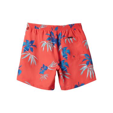  Quiksilver Everyday Mix Volley 15 Erkek Volley Short