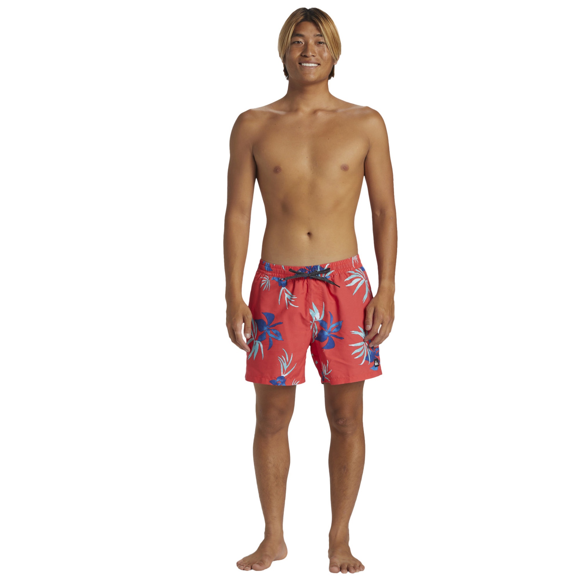 Quiksilver Everyday Mix Volley 15 Erkek Volley Short