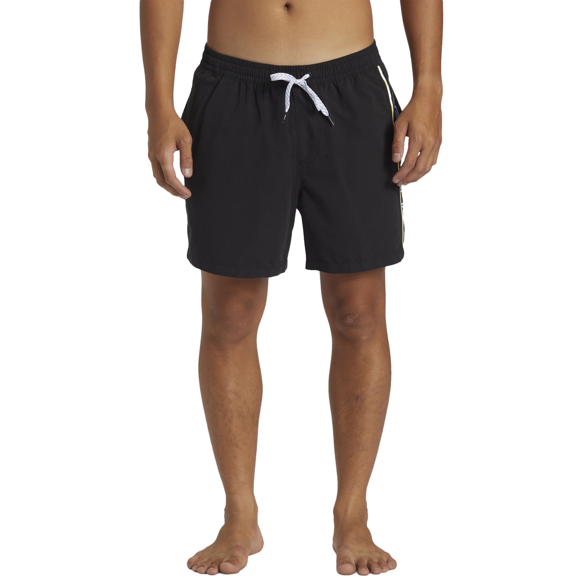 Quiksilver Everyday Vert 16 Erkek Siyah Volley Short
