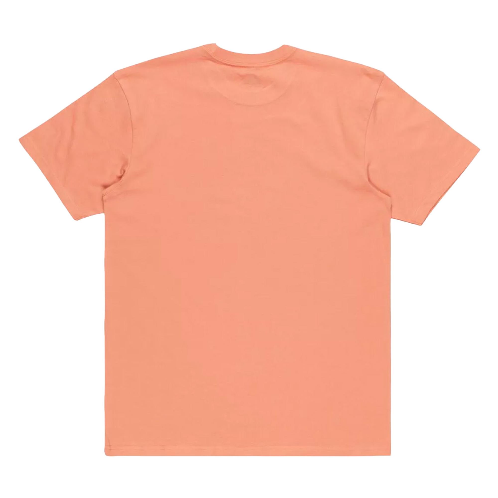 Quiksilver Tropical Rainbow Erkek Kırmızı Tişört