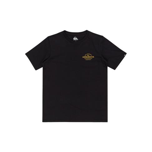  Quiksilver Tradesmith Youth Erkek Çocuk Mavi Tişört