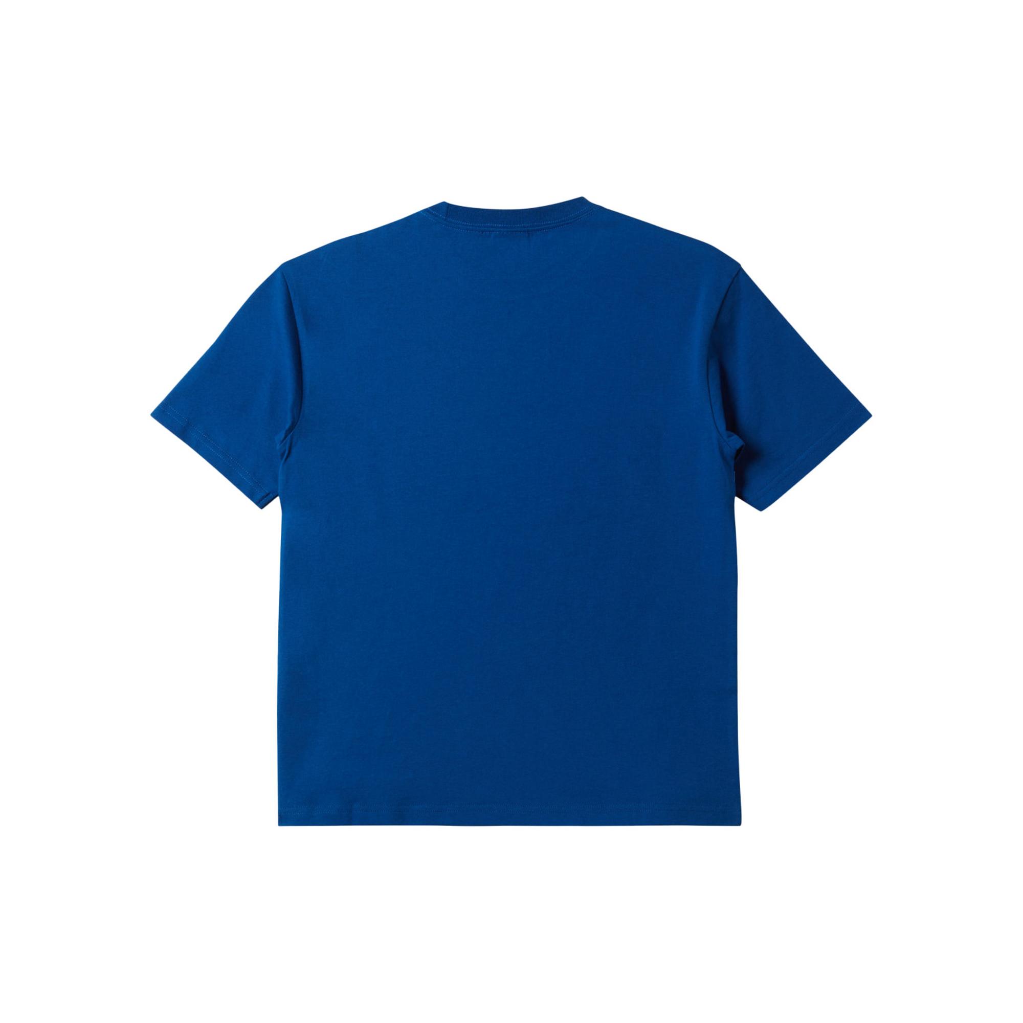 Quiksilver Surf Boe Erkek Çocuk Renkli Tişört