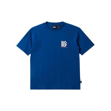  Quiksilver Surf Boe Erkek Çocuk Renkli Tişört