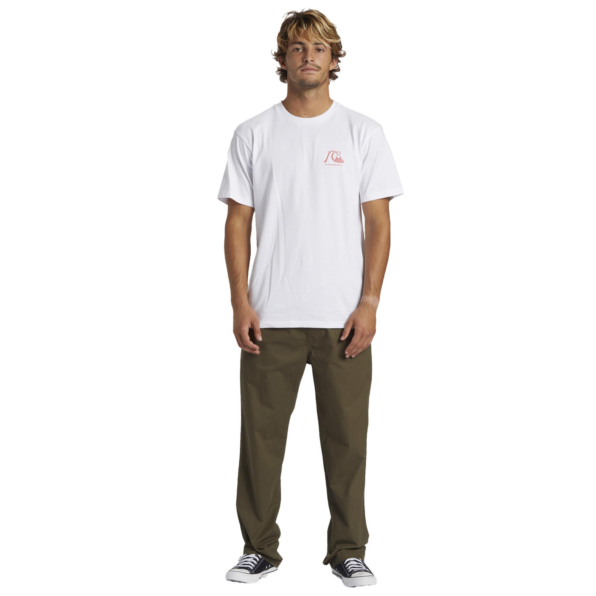 Quiksilver Dna Beach Pant Erkek Yeşil Pantolon