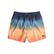 Billabong All Day Fade Lb Boys Erkek Çocuk Siyah Volley Short