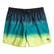 Billabong All Day Fade Lb Erkek Siyah Volley Short