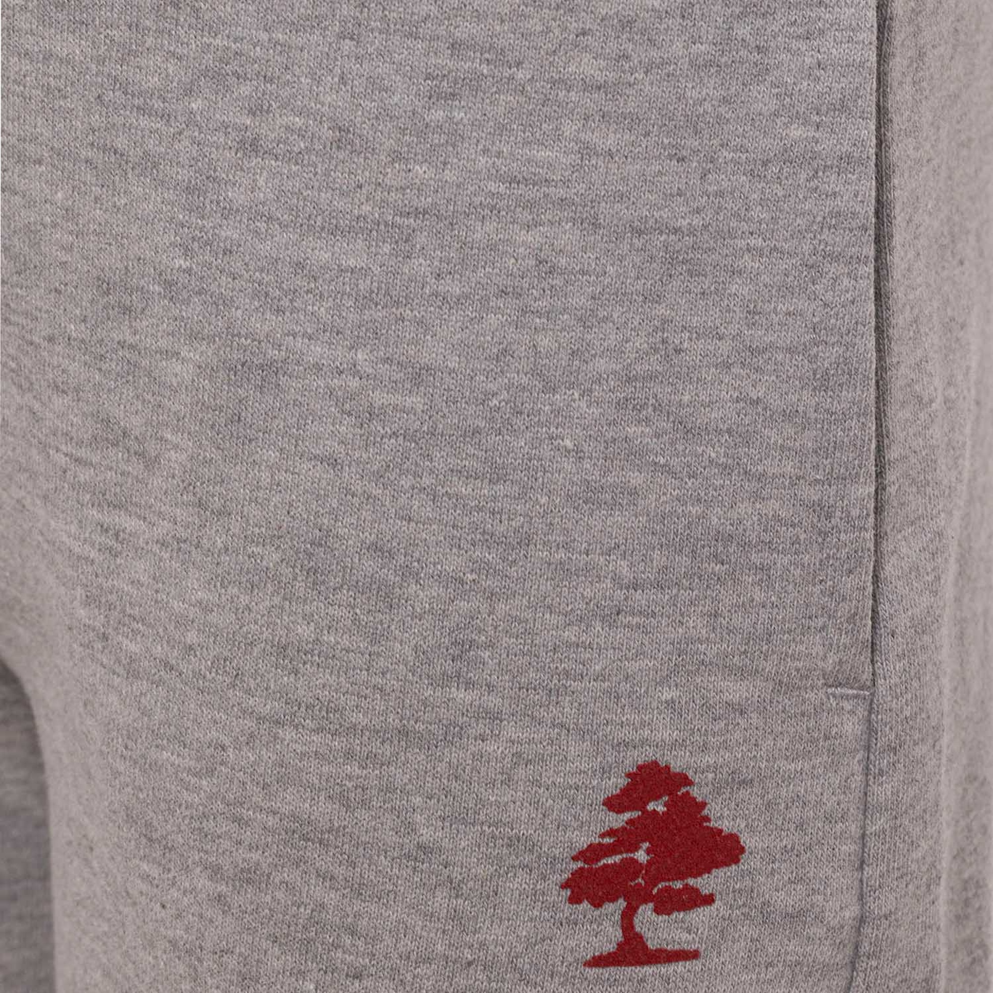 Routefield Çocuk Şort Soren Gri