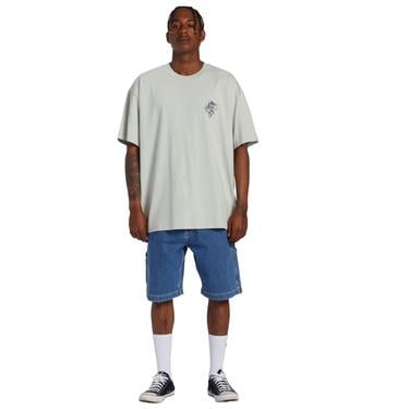  Billabong Enter The Drago Tees Erkek Gri Tişört