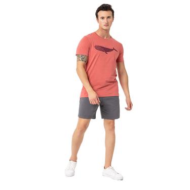  Routefield Tail Erkek Tişört