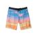 Quiksilver Everyday Fade 20 Erkek Mavi Boardshort