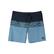 Quiksilver Surfsilk Panel 18 Erkek Mavi Boardshort