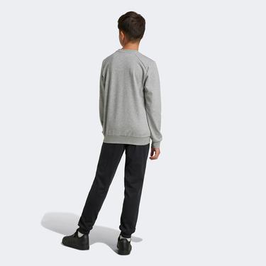  adidas Essentials Big Logo French Terry  Çocuk Gri Eşofman Takımı