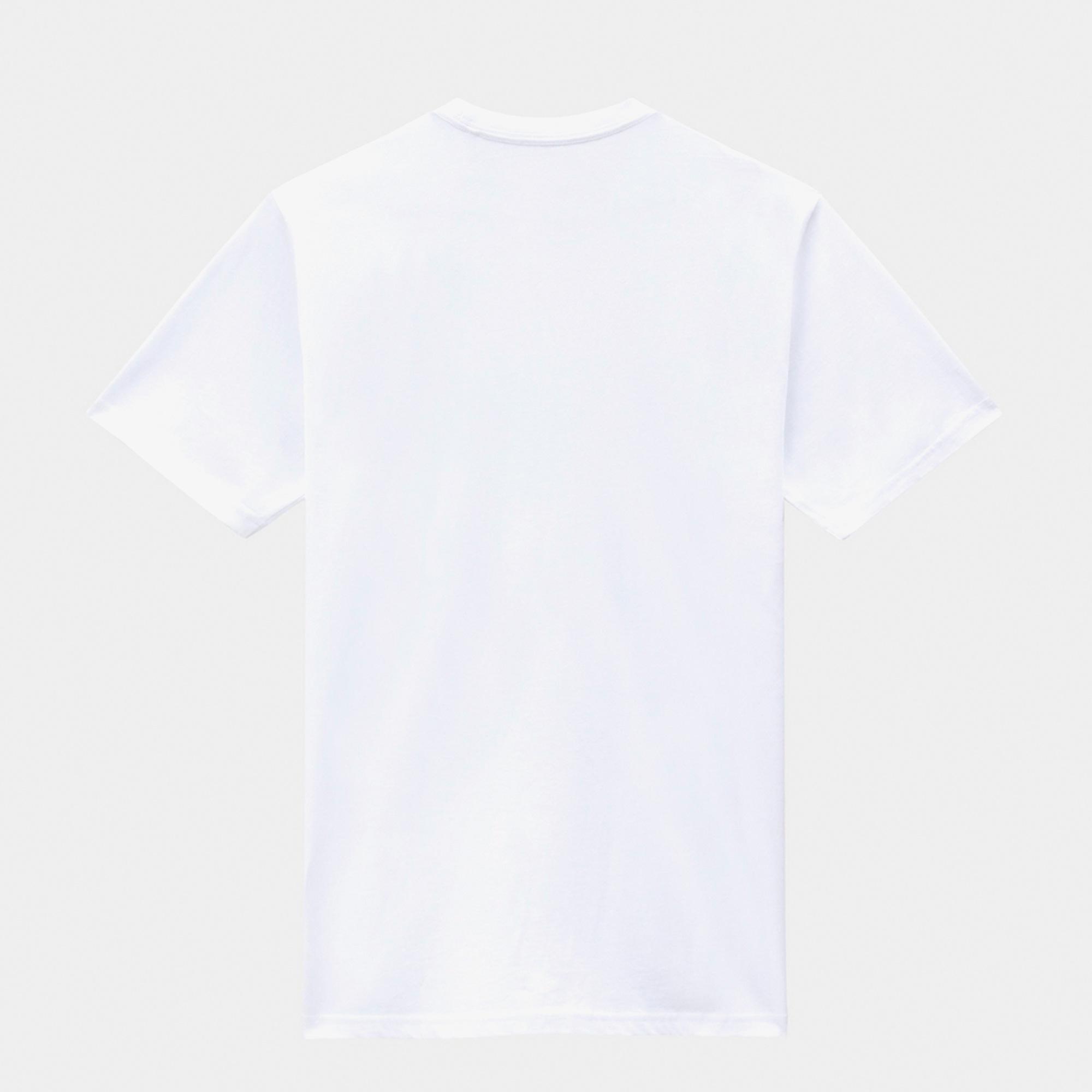 Dickies Mapleton Erkek Beyaz T-Shirt